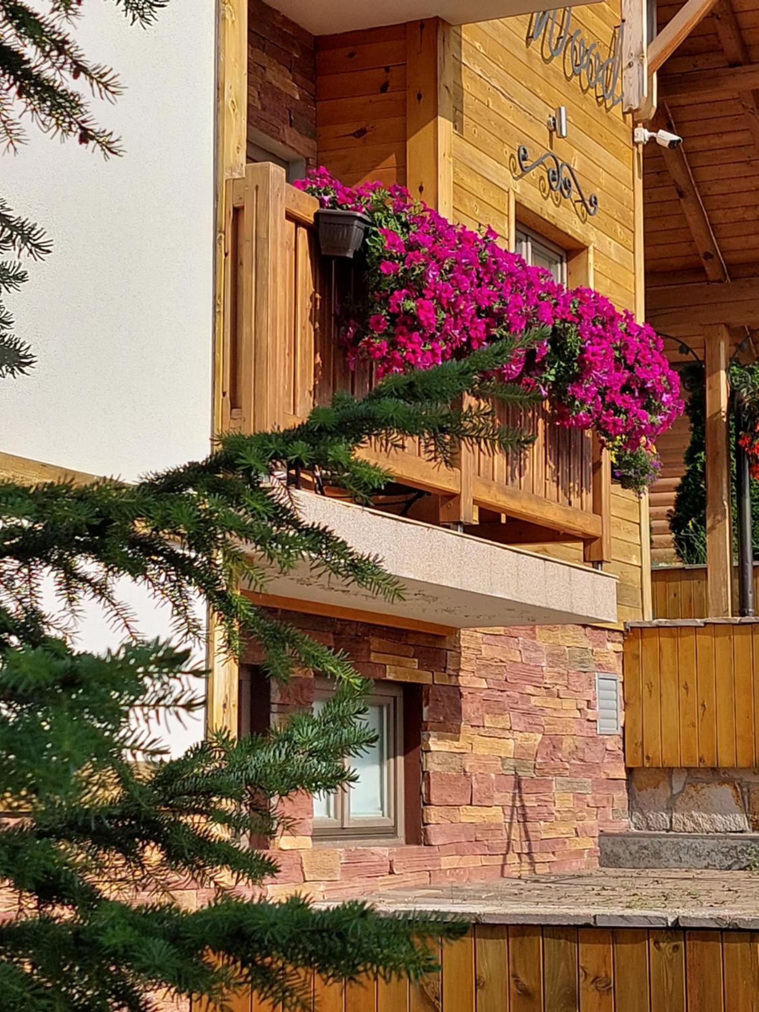 Villa Natural Wood Zlatibor Extérieur photo